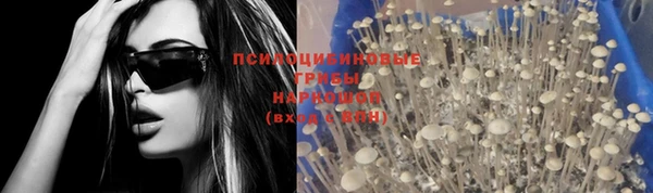трава Снежинск
